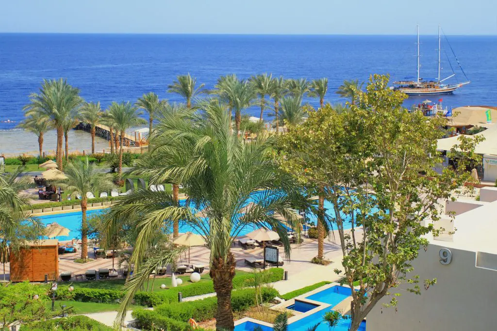 Resort tropical rodeado de vegetación