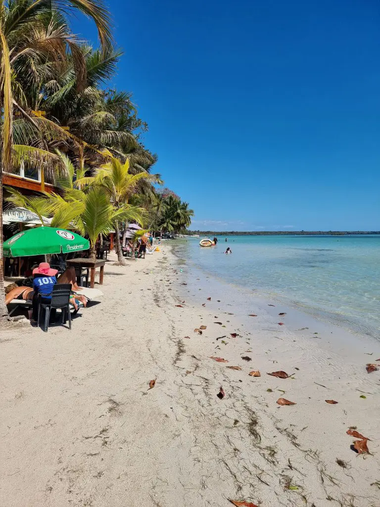 Playa tropical con palmeras en República Dominicana