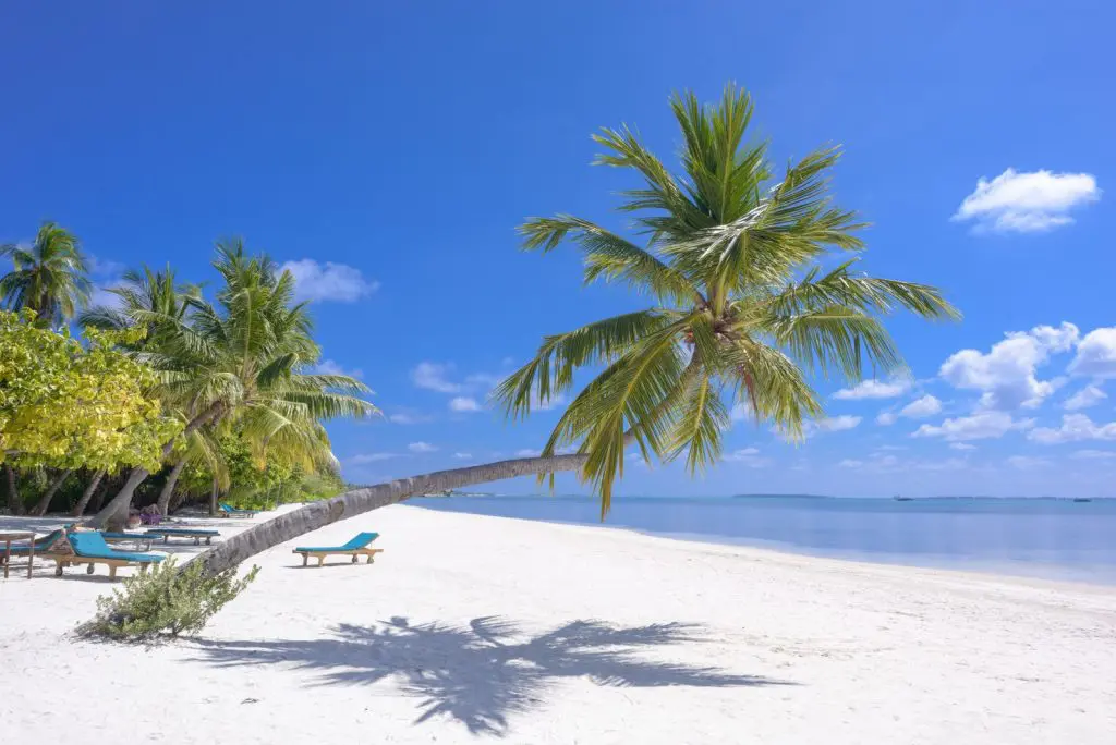 Viajero dominicano planificando un recorrido por Suramérica — imagen 4
