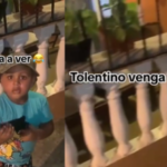 Un pequeñito pide disculpas a Ramon Tolentino