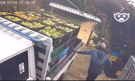 Cámara capta incidente con empleados cargando vegetales en un camión en Jarabacoa