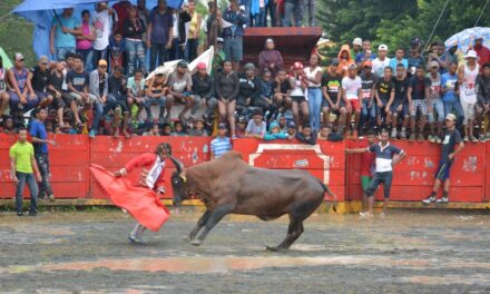Joven embestido por toro durante corrida tradicional en El Seibo