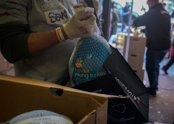 Sin titulo 2025 11 27T190145465