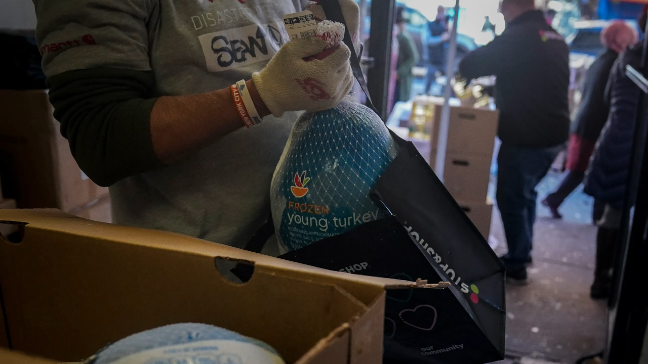 Sin titulo 2025 11 27T190145465