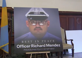 pasted image 1764268584360