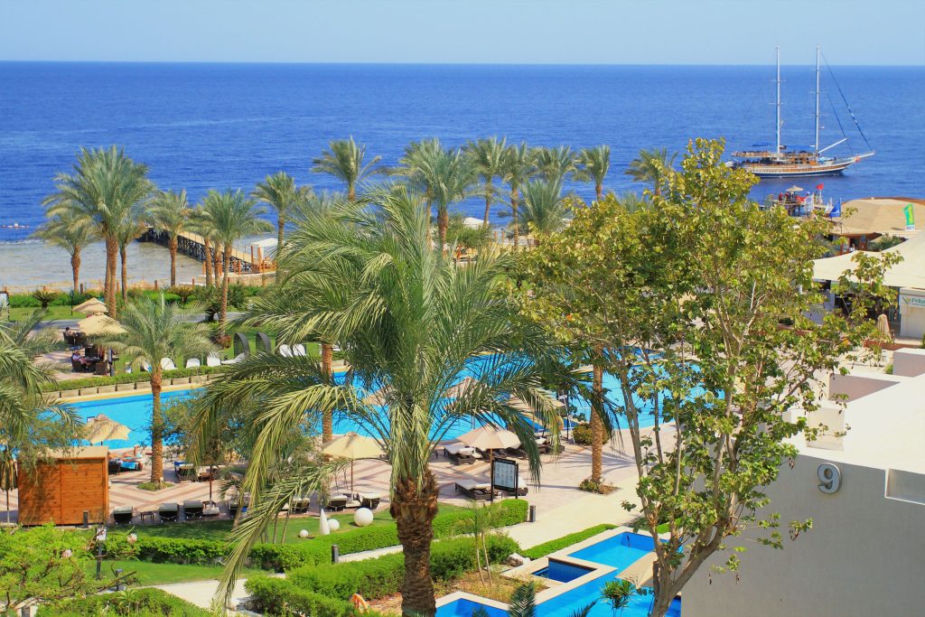 Resort tropical rodeado de vegetación