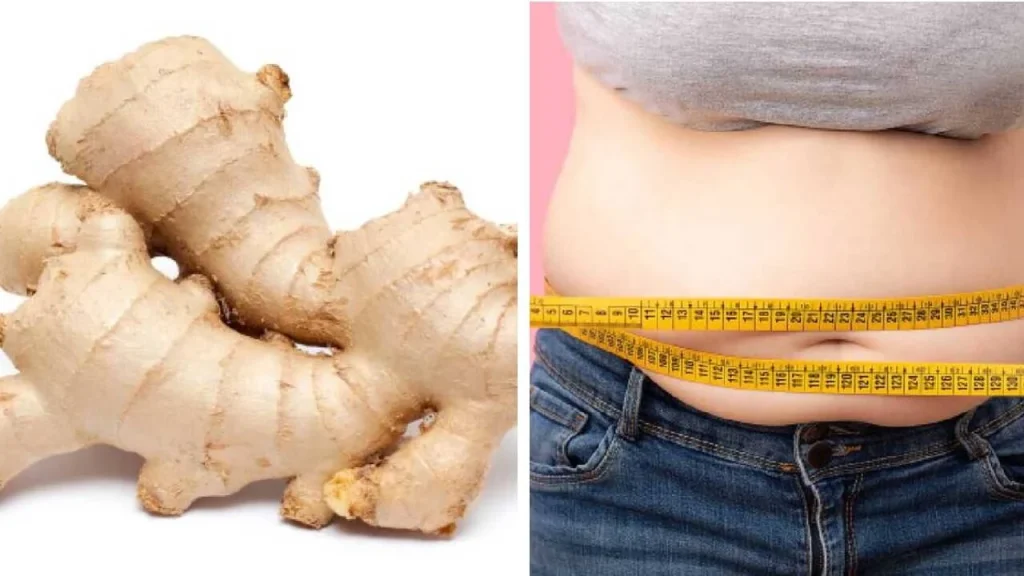 Puede apoyar la pérdida de peso