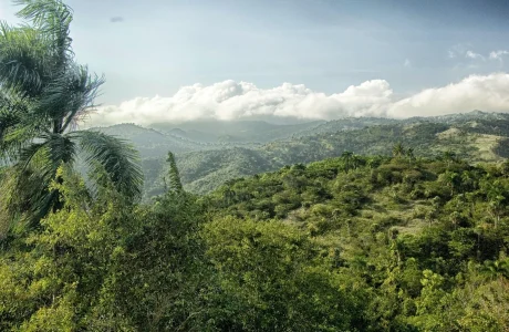 Paisajes naturales y áreas protegidas de la provincia Independencia — portada