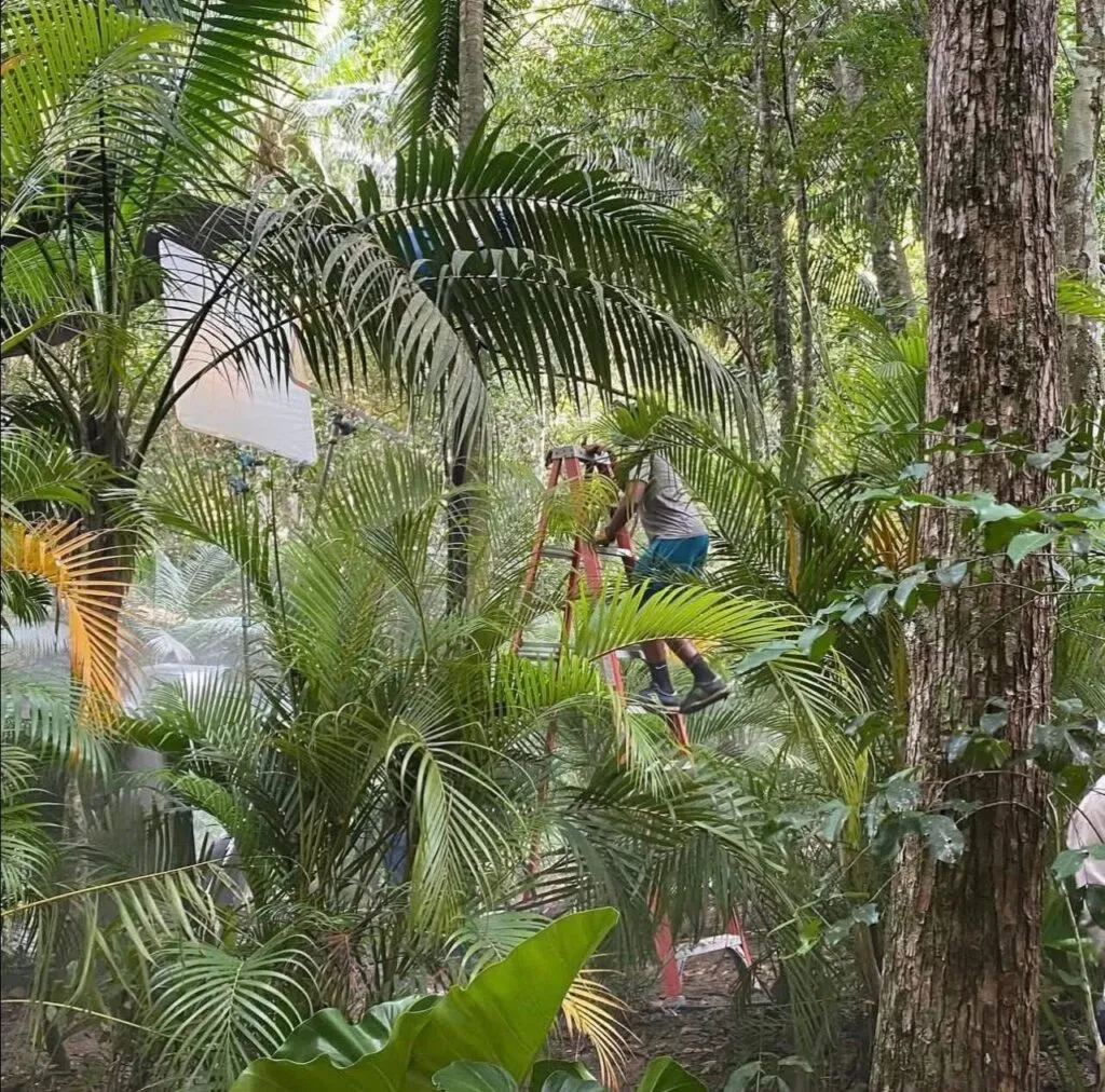 en sabana grande boya reality