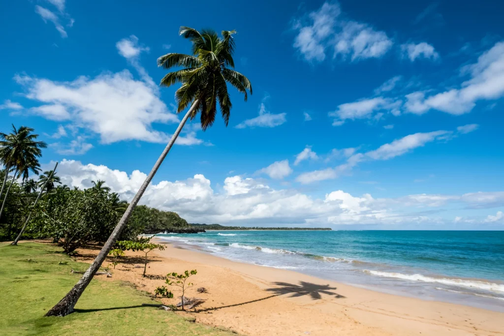Viaje responsable por playas y naturaleza de Samaná — imagen 1