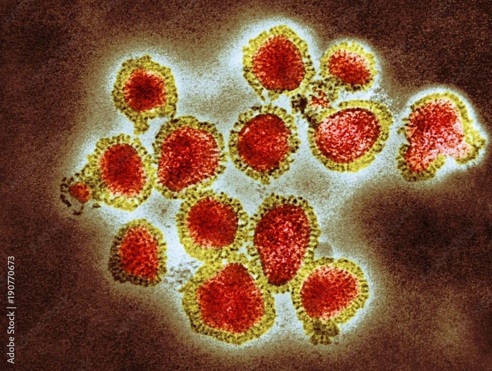 particulas de virus h3n2
