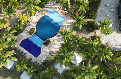 Piscina tropical rodeada de palmeras en Punta Cana
