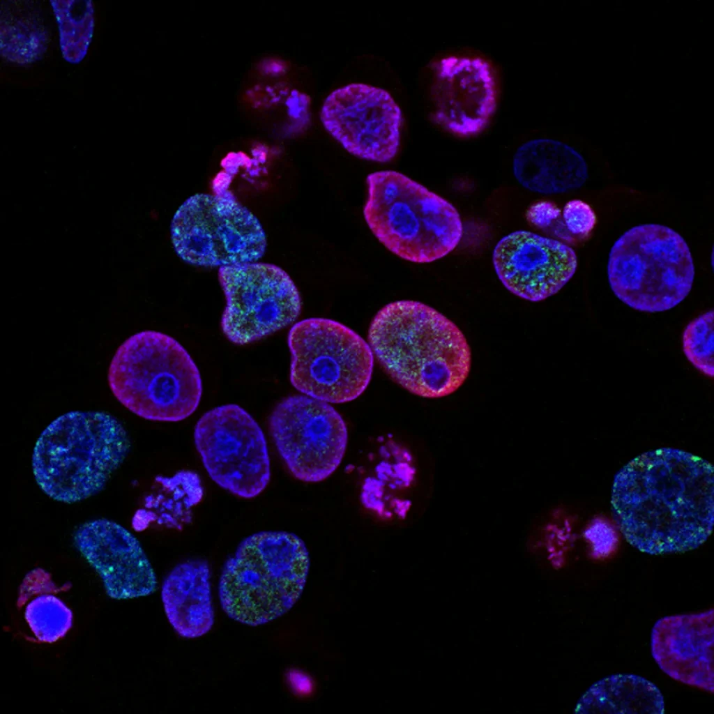 Foto de National Cancer Institute en Unsplash