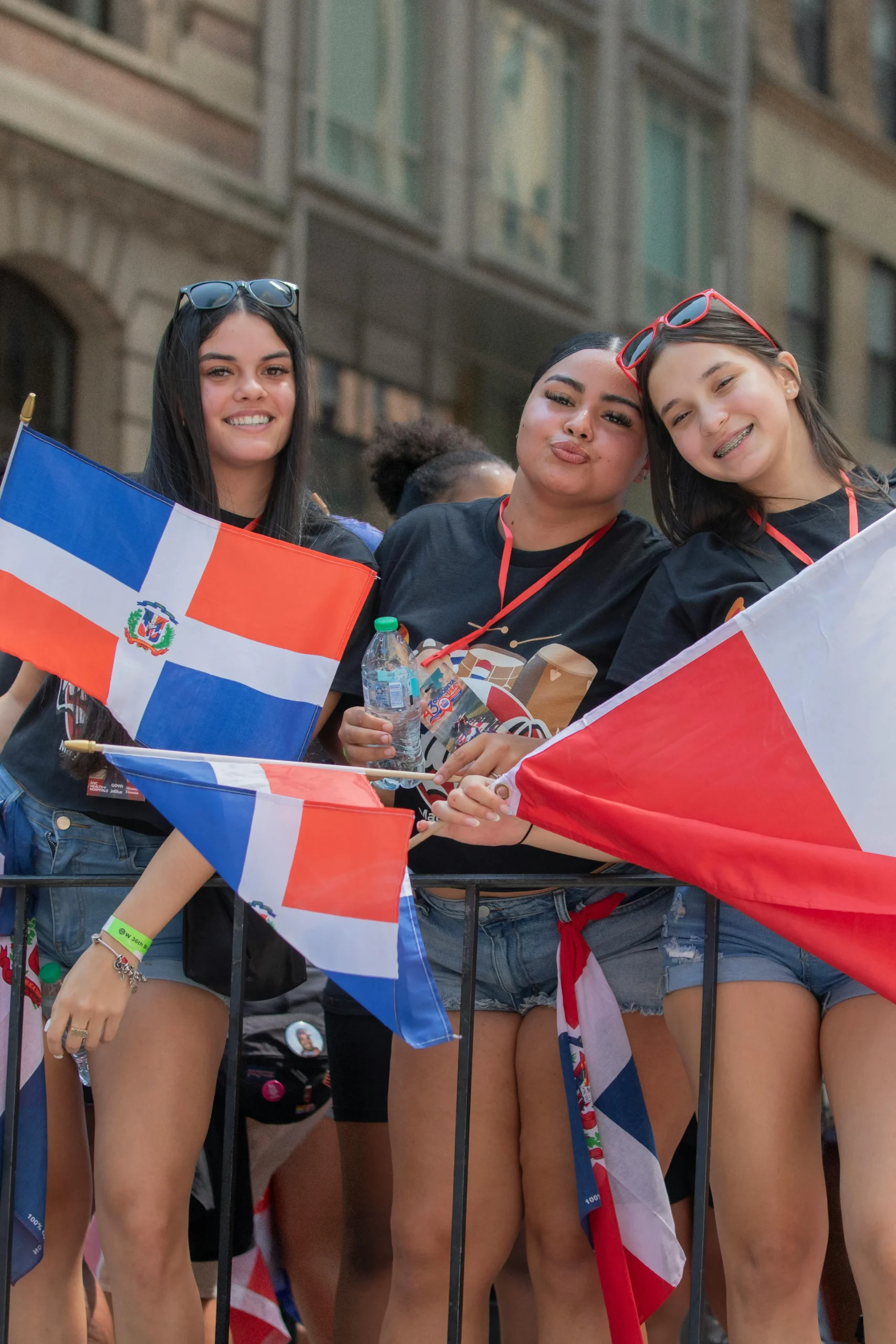 <a href="https://www.pexels.com/es-es/foto/el-espiritu-dominicano-ilumina-la-quinta-avenida-33477087/" target="_blank" rel="noopener noreferrer"> Foto de Following NYC </a> 