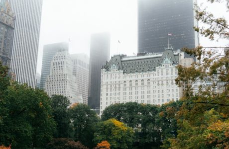 Edificios de Manhattan vistos desde Central Park
