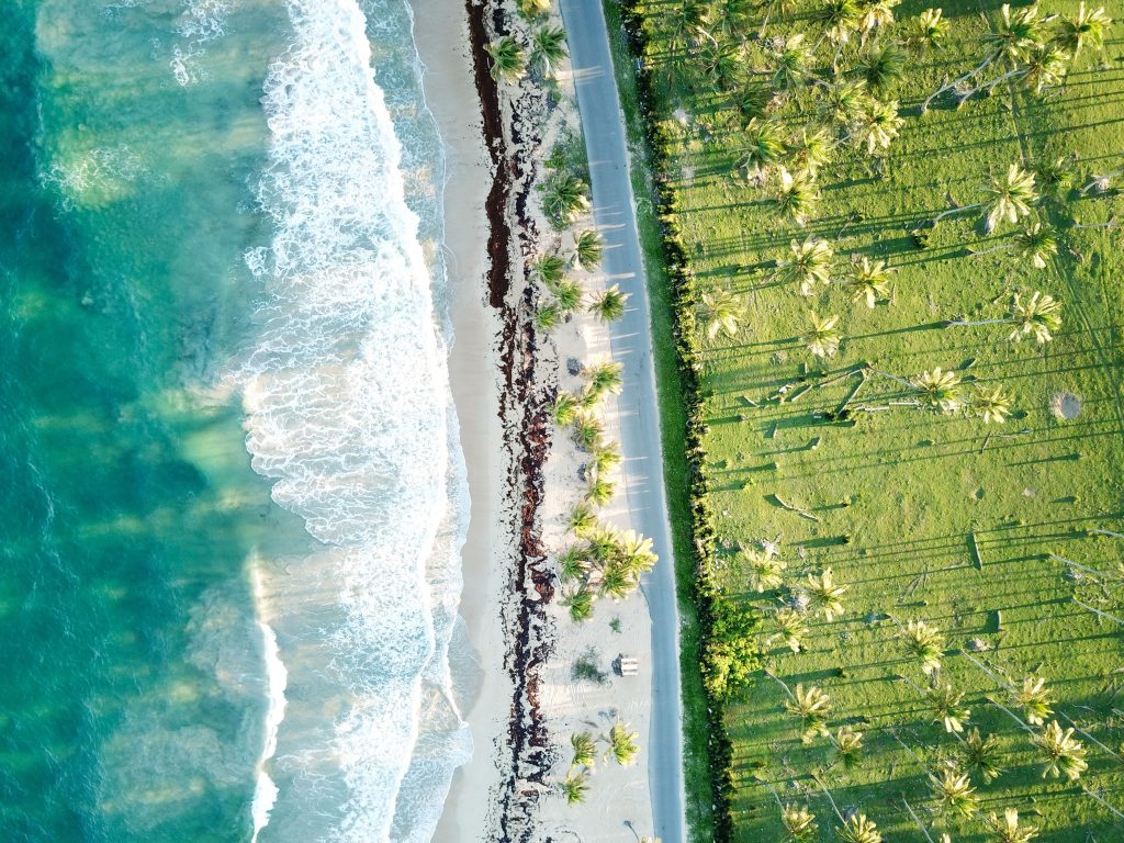 Vista aérea de una playa con palmeras en Santo Domingo