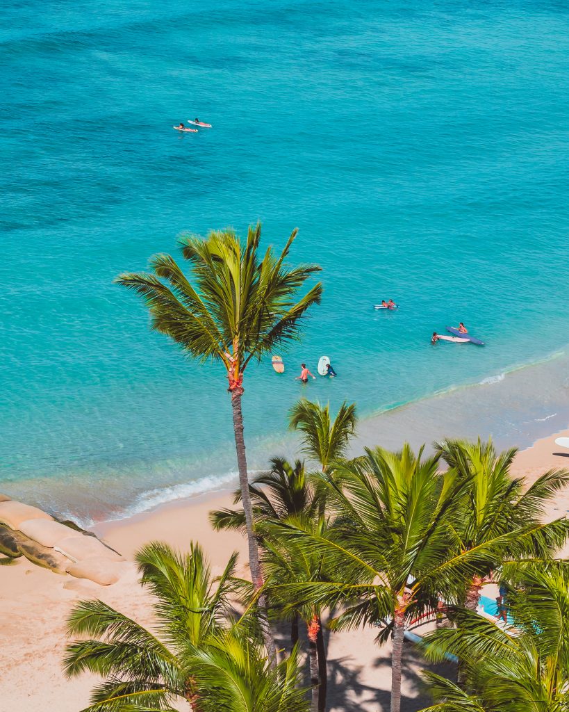 Vista aérea de playa con palmeras y actividades acuáticas