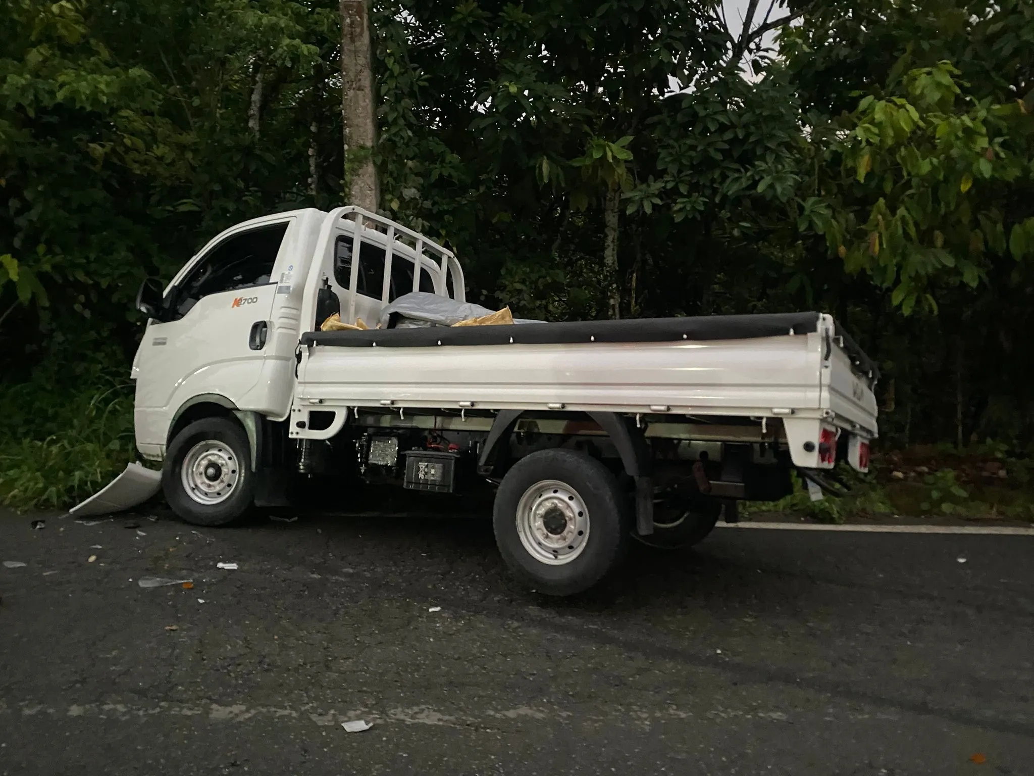 Camión involucrado