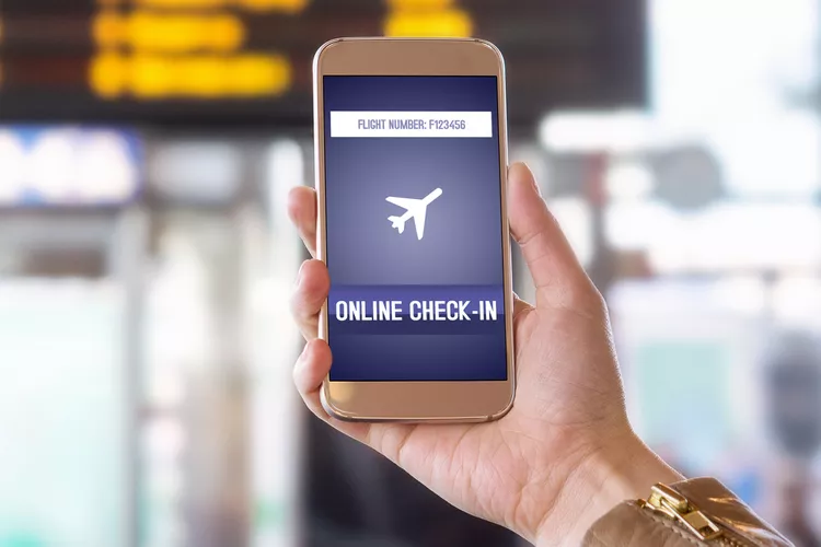 Pasajero realizando el check-in en línea para un vuelo — imagen 1