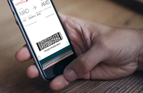 Pasajero realizando el check-in en línea para un vuelo — portada