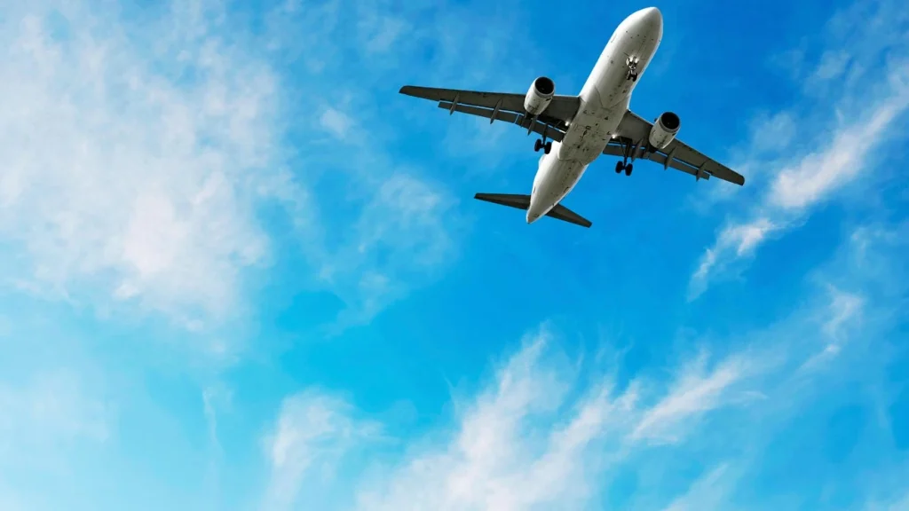 Qué documentos necesita un dominicano para viajar dentro de Estados Unidos — imagen 1
