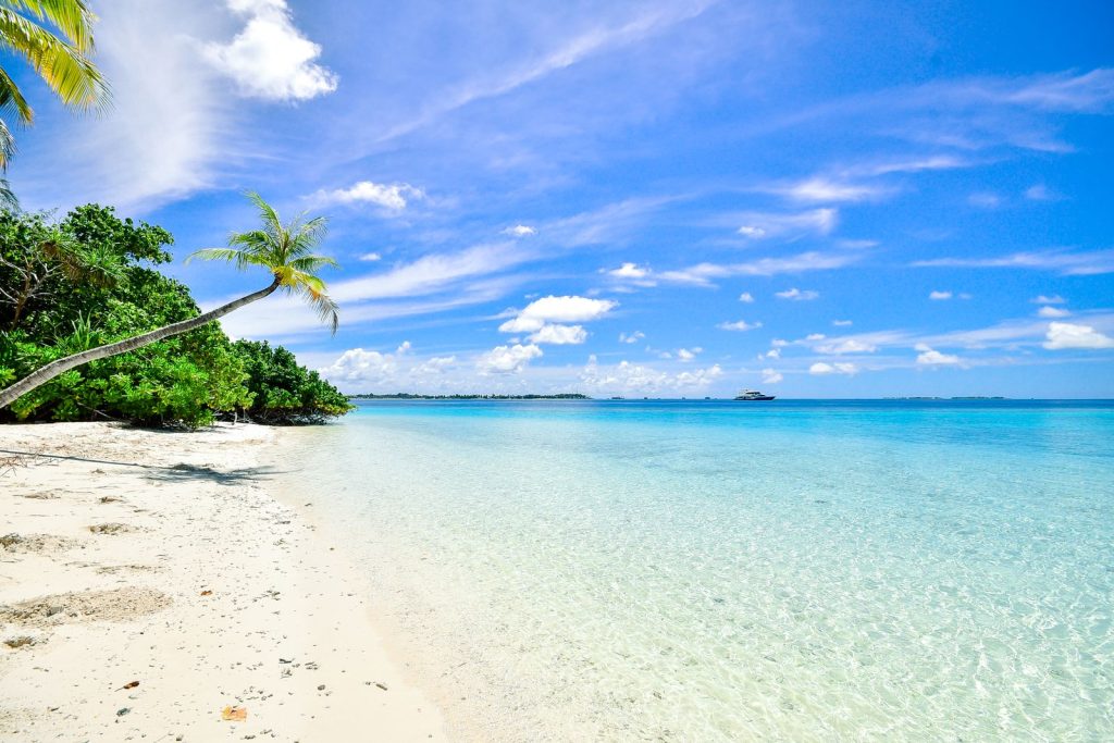 Viajero dominicano planificando un recorrido por Suramérica — imagen 9
