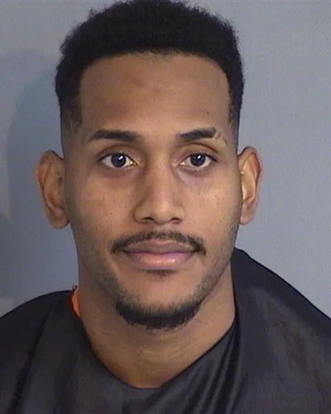 Michael Ismael Silfa-Depena