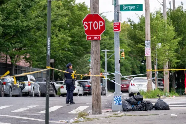 Sofronie Hartzog, de 33 años, fue declarada fallecida en el Hospital Brookdale tras recibir un proyectil en la espalda y entrar herida en el bar y salón Ooh La La en Brooklyn el domingo. (Theodore Parisienne / New York Daily News)