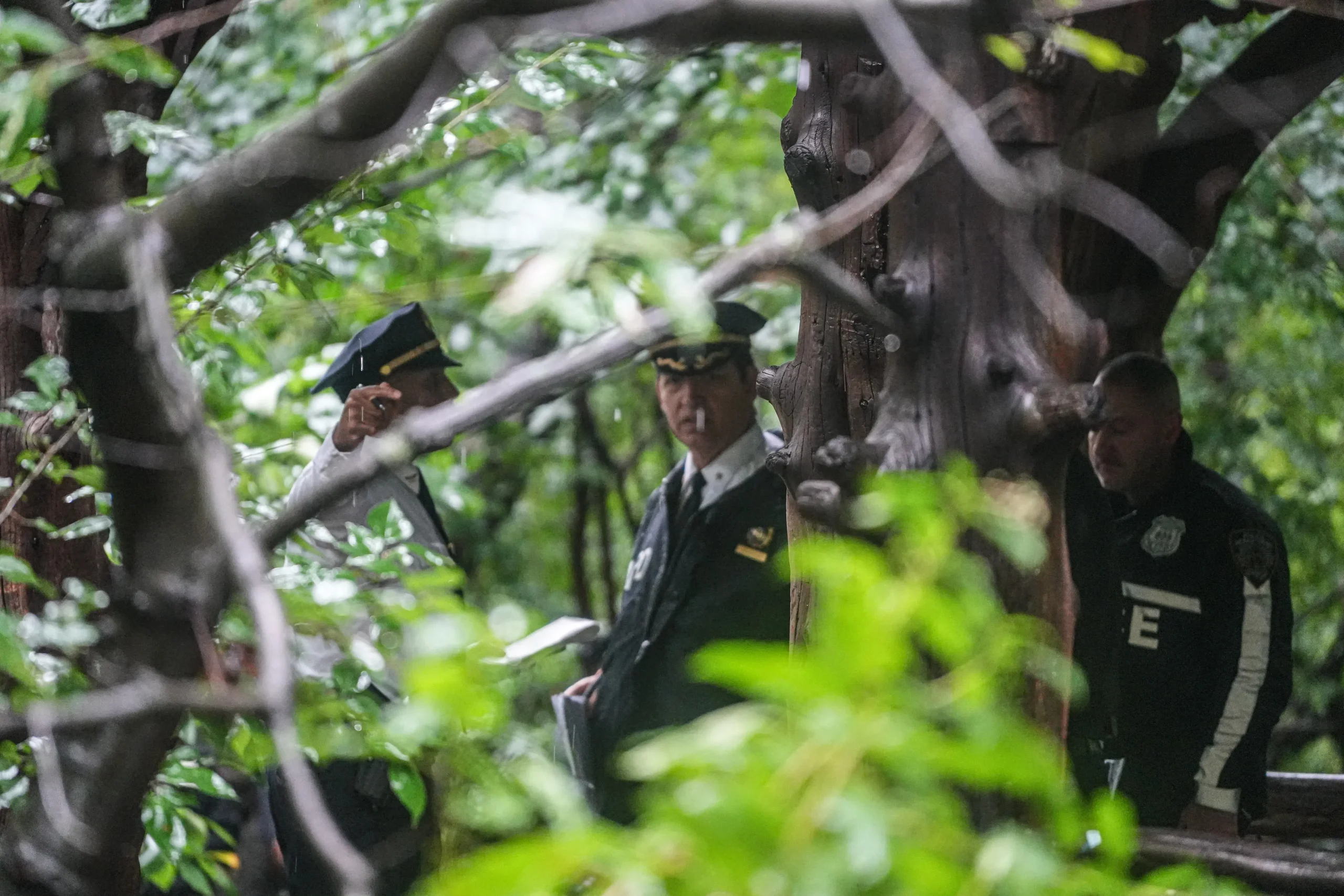 El domingo se inició una investigación policial en Central Park tras el hallazgo de una mujer con traumatismo craneoencefálico.