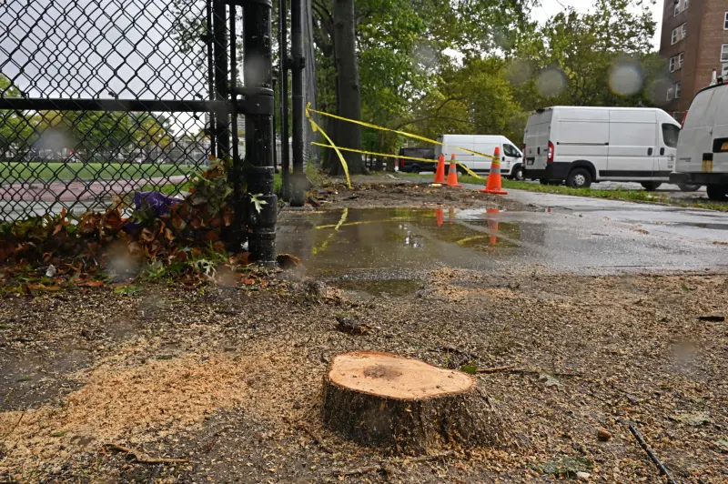 Brown quedó sin aliento al ser impactado por un árbol que cayó durante las tormentas que azotaron la ciudad de Nueva York.