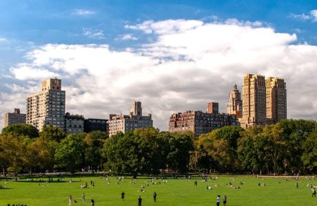 Foto de David Vives en Pexels