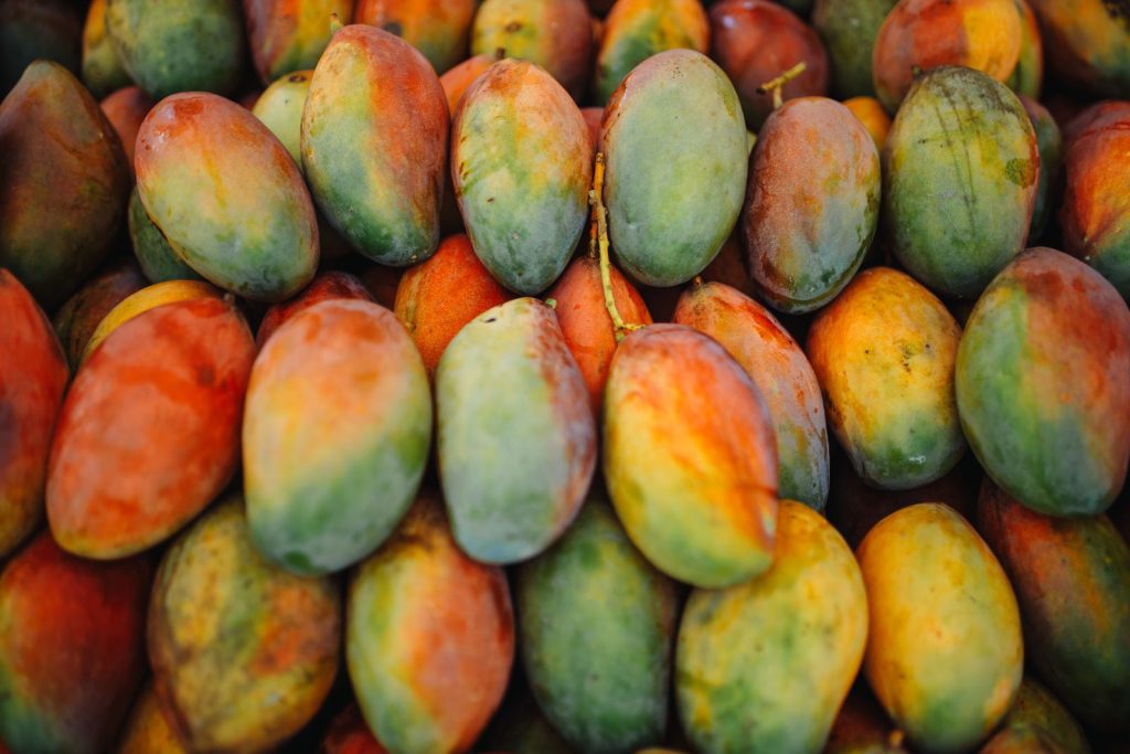 Mangos maduros de diferentes colores colocados juntos