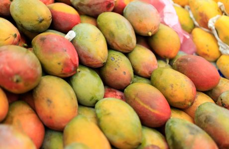 Mangos frescos exhibidos en un mercado