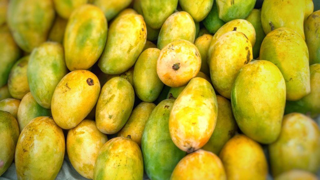 Mangos maduros vistos de cerca