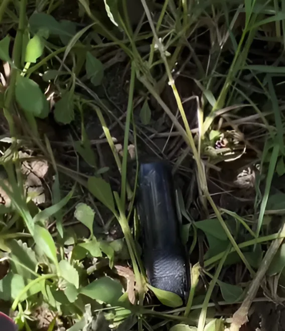 Vaper encontrado