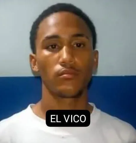 EL VICO